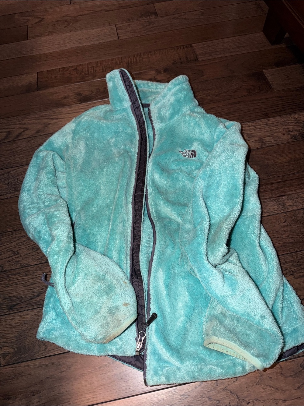 The North Face Teal Plush Fleece Jacket